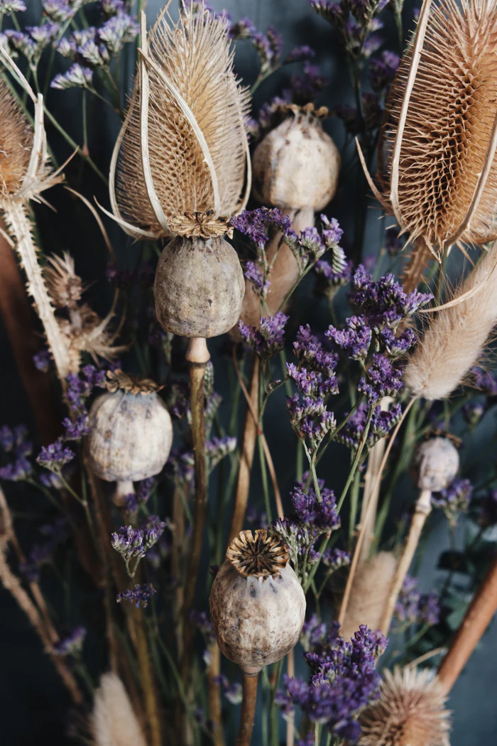 Beatrice Dried Wild Flower Bouquet - Image 3