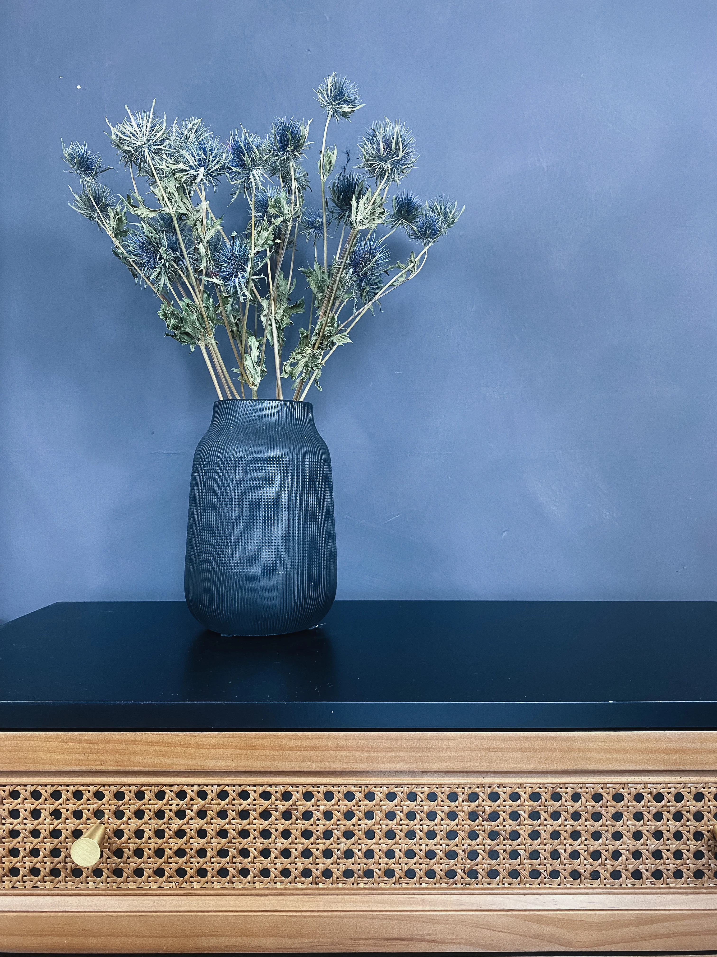 Dried Eryngium Thistles - Image 3